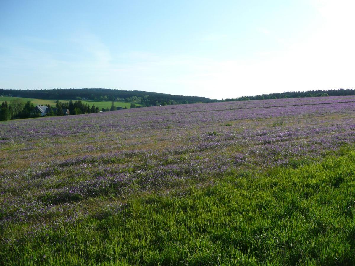 Gasthaus Ruebenau Rubenau Zewnętrze zdjęcie