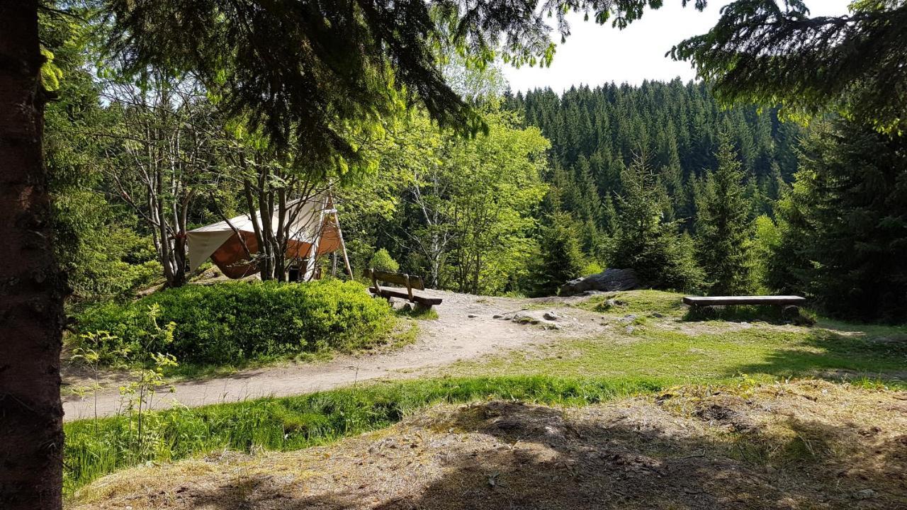 Gasthaus Ruebenau Rubenau Zewnętrze zdjęcie